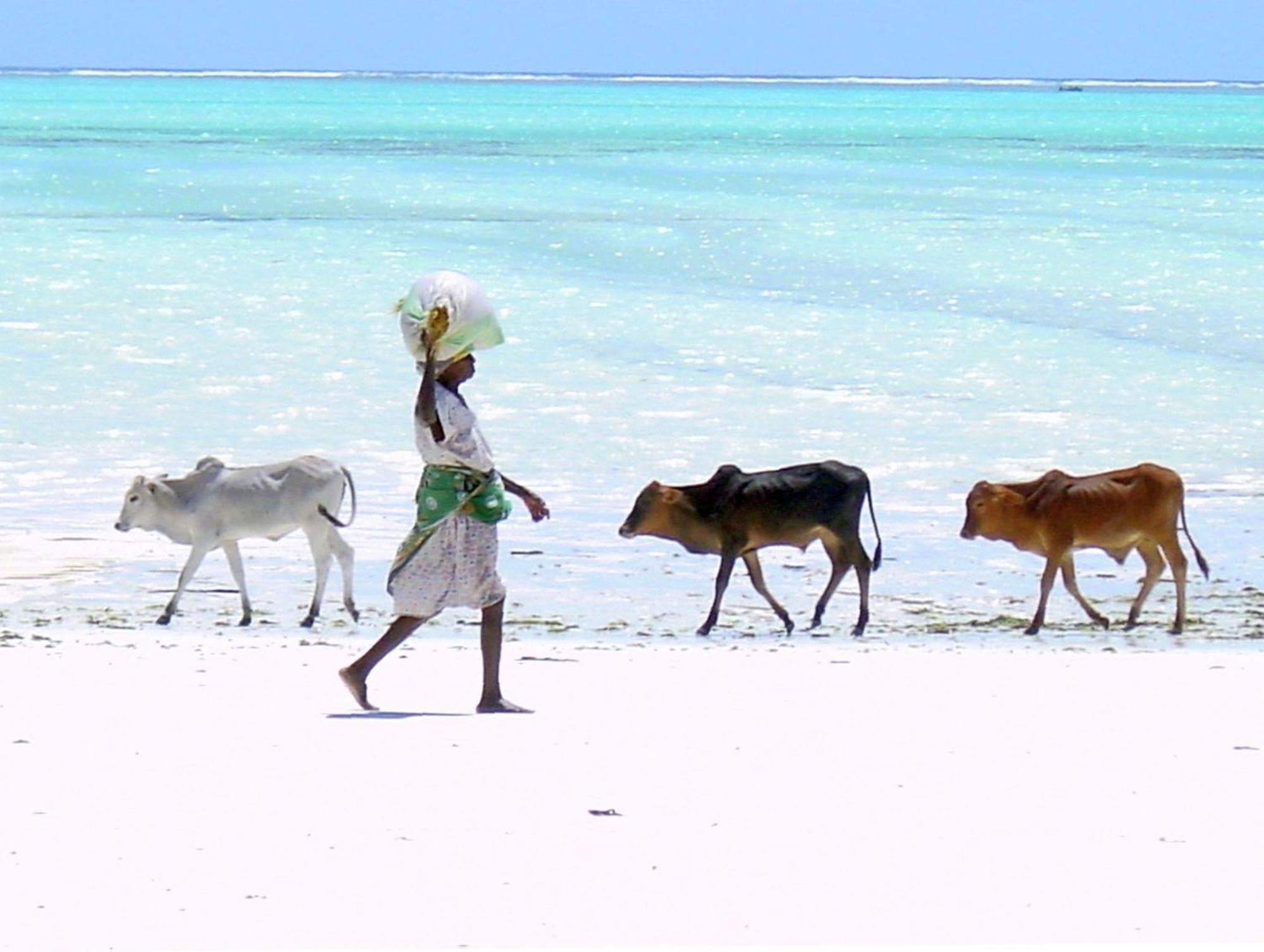 Villa Bahati Zanzibar Jambiani  Buitenkant foto